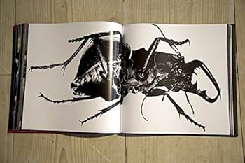 3D and the Art of Massive Attack | Amazon.com.br